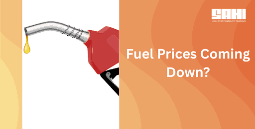 Website - Blog Banners (96).png